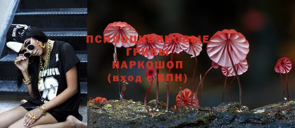 mdma Ельня