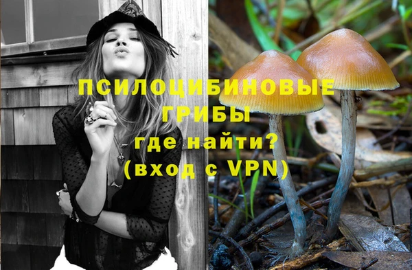 ПСИЛОЦИБИНОВЫЕ ГРИБЫ Дмитриев