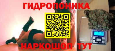 гидропоника Заводоуковск