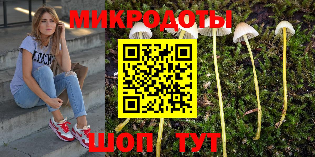 Псилоцибиновые грибы Psilocybe Добрянка