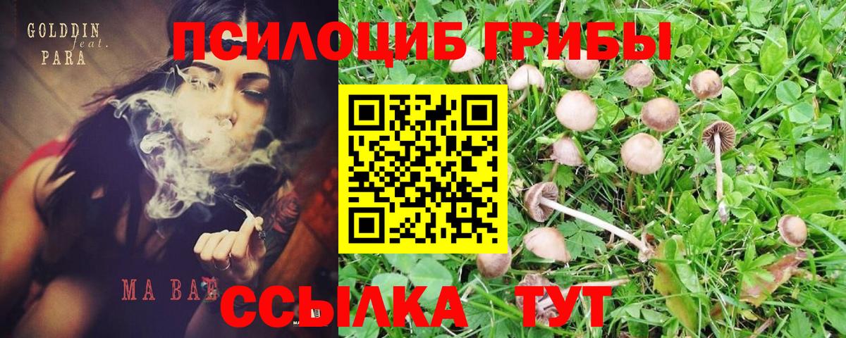 Псилоцибиновые грибы MAGIC MUSHROOMS  Вход с VPN  Добрянка  Галлюциногенные грибы ЛСД 